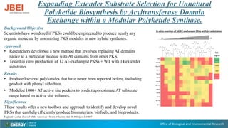 Office of Biological and Environmental Research
Expanding Extender Substrate Selection for Unnatural
Polyketide Biosynthesis by Acyltransferase Domain
Exchange within a Modular Polyketide Synthase.
Background/Objective
Scientists have wondered if PKSs could be engineered to produce nearly any
organic molecule by assembling PKS modules in new hybrid synthases.
Englund E., et al. Journal of the American Chemical Society. doi: 10.1021/jacs.2c11027
Significance
These results offer a new toolbox and approach to identify and develop novel
PKSs that can help efficiently produce biomaterials, biofuels, and bioproducts.
Results
• Produced several polyketides that have never been reported before, including
product with phenyl sidechain.
• Modeled 1000+ AT active site pockets to predict approximate AT substrate
range based on active site volumes.
Approach
• Researchers developed a new method that involves replacing AT domains
native to a particular module with AT domains from other PKS.
• Tested in vitro production of 12 AT-exchanged PKSs + WT with 14 extender
substrates.
In vitro reaction of 12 AT-exchanged PKSs with 14 substrates
MS
signal
 