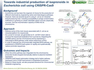 Towards industrial production of isoprenoids in
Escherichia coli using CRISPR-Cas9
Background
• Escherichia coli has been the organism of choice for the production of
different chemicals by engineering native and heterologous pathways.
• However, there are several issues to using E. coli as an industrial
biofuel producing host, including susceptibility to phage contamination,
inefficiency in growing on certain desirable carbon sources (especially
sucrose), and low recombination capacity of DNA into its
chromosome.
Approach
• Address some of the main issues associated with E. coli as an
industrial platform for isoprenoids.
• As a proof of concept, we generated an E. coli DH1 strain able to
produce the isoprenoid bisabolene from sucrose by integrating the
cscAKB operon into the chromosome and by expressing a
heterologous MVA pathway under stress-responsive control.
• In order to optimize the chromosomally integrated MVA pathway, we
established a CRISPR-Cas9 system to rapidly and systematically
replace promoter sequences.
Outcomes and Impacts
• When the entire pathway was integrated into the chromosome,
production levels dropped dramatically relative to plasmid-mediated
expression.
• CRISPR-Cas9 based optimization strategy led to higher pathway
expression and a 5-fold improvement in bisabolene production.
• Based on these results, we also proposed directions for chromosomal
metabolic engineering.
Alonso-Gutierrez et al. (2017) Biotechnol Bioeng, doi: 10.1002/bit.26530)
 