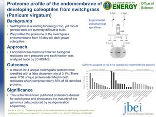 Background
• Switchgrass is a leading bioenergy crop, yet robust
genetic tools are currently difficult to build.
• We profiled the proteome of the switchgrass
endomembrane from 10-day-old dark grown
coleoptiles.
Approach
• Endomembrane fractions from two biological
replicates were prepared and each fraction was
analyzed twice by LC-MS/MS.
Outcomes
• A total of 2514 unique switchgrass proteins were
identified with a false discovery rate of 0.1%. There
were 1750 unique proteins identified in both
replicates which comprise nearly 70% of all identified
proteins.
Significance
• This is the first known published proteomics dataset
for switchgrass and showcases the maturity of the
genomics data produced by next-generation
sequencing
Proteome profile of the endomembrane of
developing coleoptiles from switchgrass
(Panicum virgatum)
Lao et al. (2015). “Proteome profile of the endomembrane of developing coleoptiles from
switchgrass (Panicum virgatum)”. Proteomics 2015, 1–5, doi 10.1002/pmic.201400487
Experimental
and analytical
workflows
GO terms assigned to the 1750 switchgrass endomembrane proteins
 