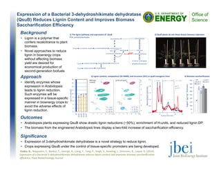 Expression of a Bacterial 3-dehydroshikimate dehydratase
(QsuB) Reduces Lignin Content and Improves Biomass
Saccharification Efficiency
Outcomes
• Arabidopsis plants expressing QsuB show drastic lignin reductions (~50%), enrichment of H-units, and reduced lignin DP.
• The biomass from the engineered Arabidopsis lines display a two-fold increase of saccharification efficiency.
Eudes, A., Noppadon, S., Baidoo, E., George, A., Liang, Y., Yang, F., Singh, S., Keasling, J., Simmons, B., Loque, D. (2014). 
Expression of a bacterial 3‐dehydroshikimate dehydratase reduces lignin content and improves biomass saccharification
efficiency. Plant Biotechnology Journal.
Background
• Lignin is a polymer that
confers recalcitrance to plant
biomass.
• Novel approaches to reduce
lignin in bioenergy crops
without affecting biomass
yield are desired for
economical production of
second-generation biofuels
Approach
• Identify enzymes whose
expression in Arabidopsis
leads to lignin reduction.
Such enzymes will be
expressed in a tissue-specific
manner in bioenergy crops to
avoid the adverse effects of
lignin reduction.
Significance
• Expression of 3-dehydroshikimate dehydratase is a novel strategy to reduce lignin.
• Crops expressing QsuB under the control of tissue-specific promoters are being developed.
3-dehydroshikimate
shikimate
phenylalanine
p-coumaroyl-CoA
p-coumaroyl-shikimate
feruloyl-CoA
p-coumaryl alcohol
coniferyl alcohol
sinapyl alcohol
H-unit
G-unit
HCT shikimate
PCA
QsuB
phenylalanine
coniferaldehyde
sinapaldehydeS-unit
phosphoenol pyruvate
+
p-coumaraldehyde
erythrose-4-phosphate
1) The lignin pathway and expression of  QsuB
PCA, protocatechuate
0
2
4
6
8
10
12
14
16
18
WT
qsuB‐1
qsuB‐3
qsuB‐6
qsuB‐7
3) Lignin content, composition (2D‐NMR), and structure (SEC) in qsuB transgenic lines
qsuB-1 WT qsuB-3 qsuB-6 qsuB-7
2) QsuB plants do not show drastic biomass reduction
Lignin (% Cell wall)
H: 3.8%
S: 20.0%
G: 76.2%
H: 27.2%
S: 30.2%
G: 42.6%
0
50
100
150
200
250
300
350
400
450 WT qsuB‐1
qsuB‐3 qsuB‐6
qsuB‐7
4) Biomass saccharification
Sugars  (µg mg‐1biomass)
0.00
0.05
0.10
0.15
0.20
0.25
5 10 15 20 25
Elution time (min)
Normalized intensity
m > 22 kDa 22 kDa > m > 0.74 kDa
WT
qsuB-1
m < 0.74 kDa
 