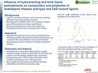 Influence of hydrocracking and ionic liquid
pretreatments on composition and properties of
Arabidopsis thaliana wild type and CAD mutant lignins
Background
• Lignin is a primary contributor to the high cost of biofuel-
production from lignocellulosic biomass
• One approach to address lignin is to engineer the lignin
biosynthetic pathway to reduce recalcitrance
• We have previously shown that CAD mutants of
Arabidopsis thaliana have decreased lignin content
Approach
• Applied hydrocracking and ionic liquid pretreatments on
Arabidopsis thaliana biomass from both wild type (WT) and
a mutant (CAD cxd) defective in two cinnamyl alcohol
dehydrogenase genes involved in the lignin biosynthetic
pathway
Outcomes and Impacts
• Pretreatments on wild type material reduce average
molecular weight of lignin by about 65% and decrease the
content of b-O-4 linkages between lignin monomers
• Linkages observed in CAD mutant make lignin more
resilient to pretreatment than wild-type lignin
• Key insights that will enable more efficient biomass
pretreatment and tailored bioenergy crops
Jacquet et al. (2020) Renewable Energy, doi: 10.1016/j.renene.2020.01.153
Pretreatment effect on G/H/S monomer composition of
lignin from Arabidopsis wild-type and CAD mutant.
Molecular weight distribution of CEL fractions from
Arabidopsis WT and CAD mutant.
 