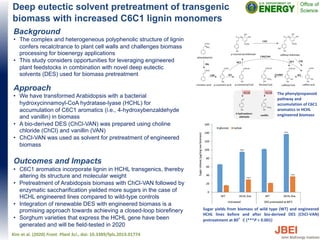 Deep eutectic solvent pretreatment of transgenic
biomass with increased C6C1 lignin monomers
Background
• The complex and heterogeneous polyphenolic structure of lignin
confers recalcitrance to plant cell walls and challenges biomass
processing for bioenergy applications
• This study considers opportunities for leveraging engineered
plant feedstocks in combination with novel deep eutectic
solvents (DES) used for biomass pretreatment
Approach
• We have transformed Arabidopsis with a bacterial
hydroxycinnamoyl-CoA hydratase-lyase (HCHL) for
accumulation of C6C1 aromatics (i.e., 4-hydroxybenzaldehyde
and vanillin) in biomass
• A bio-derived DES (ChCl-VAN) was prepared using choline
chloride (ChCl) and vanillin (VAN)
• ChCl-VAN was used as solvent for pretreatment of engineered
biomass
Outcomes and Impacts
• C6C1 aromatics incorporate lignin in HCHL transgenics, thereby
altering its structure and molecular weight
• Pretreatment of Arabidopsis biomass with ChCl-VAN followed by
enzymatic saccharification yielded more sugars in the case of
HCHL engineered lines compared to wild-type controls
• Integration of renewable DES with engineered biomass is a
promising approach towards achieving a closed-loop biorefinery
• Sorghum varieties that express the HCHL gene have been
generated and will be field-tested in 2020
Kim et al. (2020) Front. Plant Sci., doi: 10.3389/fpls.2019.01774
Sugar yields from biomass of wild type (WT) and engineered
HCHL lines before and after bio-derived DES (ChCl-VAN)
pretreatment at 80°C (***P < 0.001)
The phenylpropanoid
pathway and
accumulation of C6C1
aromatics in HCHL
engineered biomass
 