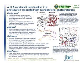 A 12 Å carotenoid translocation in a
photoswitch associated with cyanobacterial photoprotection
Outcomes
• Structural studies reveal that an unprecedented
12 Å translocation of pigment accompanies the
activation of the OCP for photoprotection.
• XF identifies amino acid residues that drive the dramatic reconfiguration
of protein-pigment interactions for the photoprotective response.
• Such functionally relevant plasticity in protein-chromophore interactions
has not previously been described for any pigment-protein system.
1) Crystal structures of the Orange
Carotenoid Protein (OCP) and Red
Carotenoid Protein (RCP) binding
canthaxanthin (CAN). (A) Superimposed
ribbon structures of OCPCAN (grey) and
RCPCAN (red). The CAN is shown in orange
sticks in OCP, purple sticks in RCP. (B) CAN
structures in OCP and RCP show increased
planarity of the polyene chain in RCP and
distinctly different β-ring configurations.
Leverenz, et al. (2015) “A 12 Å carotenoid translocation in a photoswitch associated with 
cyanobacterial photoprotection ” Science, 348(6242), 1463‐66, doi: 10.1126/science.aaa7234 
Background
• Pigment-protein and pigment-pigment
interactions are critical for light harvesting
and photoprotective functions essential to
photosynthesis.
• The primary photoprotective mechanism in
cyanobacteria is activated by the photoactive
Orange Carotenoid Protein (OCP).
Significance
• These results reveal an unprecedented type of conformational switch for
photoprotection and prompt re-examination of other photoprotective and
light harvesting systems.
2) Solvent accessibility changes in the OCP
complex as measured by x-ray hydroxyl radical
footprinting. A) Peptide modification as a function of x-ray
irradiation dose for W41, residue clusters W41-F42-Y44-M47
and P276-W277-F278, and M284. (B) Structural view of the
CAN binding residues of the OCPCAN structure .
Approach
• Determine the atomic resolution structure of an
active form of OCP combined with solution-state
structural data from x-ray radiolytic labeling and
proteomic analysis (X-ray Footprinting, XF).
 