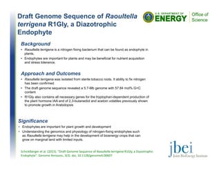 1Linshiz, et al., “PaR-PaR: Laboratory Automation System.” ACS Synth. Biol. 2:216-222 (2013).
2Linshiz, et al., “PR-PR: Cross-Platform Laboratory System.” ACS Synth. Biol. Article ASAP (2014).
Background
• Raoultella terrigena is a nitrogen fixing bacterium that can be found as endophyte in
plants.
• Endophytes are important for plants and may be beneficial for nutrient acquisition
and stress tolerance.
Approach and Outcomes
• Raoultella terrigena was isolated from sterile tobacco roots. It ability to fix nitrogen
has been confirmed
• The draft genome sequence revealed a 5.7-Mb genome with 57.84 mol% G+C
content
• R1Gly also contains all necessary genes for the tryptophan-dependent production of
the plant hormone IAA and of 2,3-butanediol and acetoin volatiles previously shown
to promote growth in Arabidopsis
Significance
• Endophytes are important for plant growth and development
• Understanding the genomics and physiology of nitrogen-fixing endophytes such
as Raoultella terrigena may help in the development of bioenergy crops that can
grow on marginal land with limited inputs.
Schicklberger et al. (2015). "Draft Genome Sequence of Raoultella terrigena R1Gly, a Diazotrophic
Endophyte". Genome Announc, 3(3). doi, 10.1128/genomeA.00607
Draft Genome Sequence of Raoultella
terrigena R1Gly, a Diazotrophic
Endophyte
 