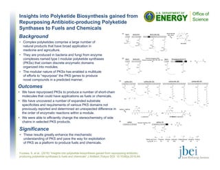 Insights into Polyketide Biosynthesis gained from
Repurposing Antibiotic-producing Polyketide
Synthases to Fuels and Chemicals
Outcomes
• We have repurposed PKSs to produce a number of short-chain
molecules that could have applications as fuels or chemicals.
• We have uncovered a number of expanded substrate
specificities and requirements of various PKS domains not
previously reported and determined an unexpected difference in
the order of enzymatic reactions within a module.
• We were able to efficiently change the stereochemistry of side
chains in selected PKS products. 
Yuzawa, S. et al., (2016) “Insights into polyketide biosynthesis gained from repurposing antibiotic-
producing polyketide synthases to fuels and chemicals” J Antibiot (Tokyo) DOI: 10.1038/ja.2016.64.
Background
• Complex polyketides comprise a large number of
natural products that have broad application in
medicine and agriculture.
• They are produced in bacteria and fungi from enzyme
complexes named type I modular polyketide synthases
(PKSs) that contain discrete enzymatic domains
organized into modules.
• The modular nature of PKSs has enabled a multitude
of efforts to “repurpose” the PKS genes to produce
novel compounds in a predicted manner.
Significance
• These results greatly enhance the mechanistic
understanding of PKS and pave the way for exploitation
of PKS as a platform to produce fuels and chemicals.
-Lipomycin
LipNrps, LipMt etc.
(B)
LipPks1
Domain insertion (TE)
AT
LipPks1+TE
ACP KS AT KR ACP TE
R OH
OOH
R
HO
O
S
R
O
S
O OO
OH
OH
OH
N
O
OH
OH
O
O OO
OH
OH
OH
N
O
OH
OH
OH3C
21-Methyl--lipomycin
LipPks2 (M2, M3） LipPks3 (M4, M5）
KR KSDHAT
LipPks4 (M6, M7)
ATAT
LipPks1 (M1）
ACP KS AT KR ACP KS AT DH KR ACP KS AT DH KR KS
(A)
S
O
O
R
HO
S
O
R
HO
R
HO
O
S
R
HO
O
S
R
HO
O
S
R
HO
O
S
R
HO
O
S
R
O
S
R =
~~
~~
ACP ACPKRACP
R =
~~
~~
~~
~~
~~
~~
kcat/KM (M-1 s-1) = 　 70 23 304 237 38 4
Starter acyl-CoA = 　Propionyl n-Butyryl Isobutyryl 2-Methylbutyryl Isovaleryl Pivaloyl
KS AT DH KR ACP KS AT DH KR ACP
AT ACP KS AT KR ACP
BorA3 (M2, M3)
AT
BorA1
KS AT KS AT KR ACP KS AT DH KR ACP
(A)
(B)
BorA2 (M1)
ACP KR ACP
S
O
H
HO2C
H
HO2C
S
O
HO
H
HO2C
HO
S
O
H
HO2C
HO
S
O
BorA1
AT
BorA1
KS AT
KR-swapped BorA2+TE
ACP KR ACP TE
Domain swapping (KR)
Domain insertion (DH, ER, KR, TE)
ER
O
HO
O
OH
S
O
O
HO
O
HO
O
S
DH
S
O
O
HO
S
O
HO
O
HO
Borrelidin
BorA4-BorA6
BorI, BorJ
O
O
CO2H
NC
OH
OH
DH
BorA2 (M1)
AT KS ATACP KR ACP
 