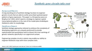Office of Biological and Environmental Research
Synthetic gene circuits take root
Background/Objective
A long-standing aim of synthetic biology has been to engineer
genetic circuits that are able to confer prescribed spatiotemporal
patterns of gene expression. This paper is a Perspective piece on
Brophy et al. 2022, which reports a strategy to engineer spatial
transcriptional patterns in the root of the model plant Arabidopsis
thaliana to alter its morphology.
Significance/Impacts
Synthetic biology approaches tailored to embrace the complexity of
developing organisms are uniquely positioned to provide
sophisticated and quantitative tools to dissect the inner workings of
genetic networks specifically in an organismal context.
Engineering complex circuits in plants may enable our ability to
engineer feedstock crops with more complex traits.
Alamos S., Shih P. (2022) “Synthetic gene circuits take root.” Science. doi: 10.1126/science.add6805
 
