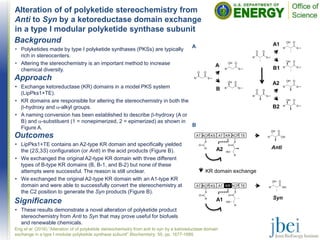 Alteration of of polyketide stereochemistry from
Anti to Syn by a ketoreductase domain exchange
in a type I modular polyketide synthase subunit
Outcomes
• LipPks1+TE contains an A2-type KR domain and specifically yielded
the (2S,3S) configuration (or Anti) in the acid products (Figure B).
• We exchanged the original A2-type KR domain with three different
types of B-type KR domains (B, B-1, and B-2) but none of these
attempts were successful. The reason is still unclear.
• We exchanged the original A2-type KR domain with an A1-type KR
domain and were able to successfully convert the stereochemistry at
the C2 position to generate the Syn products (Figure B).
Eng et al. (2016) “Alteration of of polyketide stereochemistry from anti to syn by a ketoreductase domain
exchange in a type I modular polyketide synthase subunit” Biochemistry, 55, pp. 1677-1680.
Background
• Polyketides made by type I polyketide synthases (PKSs) are typically
rich in stereocenters.
• Altering the stereochemistry is an important method to increase
chemical diversity.
Significance
• These results demonstrate a novel alteration of polyketide product
stereochemistry from Anti to Syn that may prove useful for biofuels
and renewable chemicals.
Approach
• Exchange ketoreductase (KR) domains in a model PKS system
(LipPks1+TE).
• KR domains are responsible for altering the stereochemistry in both the
b-hydroxy and a-alkyl groups.
• A naming conversion has been established to describe b-hydroxy (A or
B) and a-substituent (1 = nonepimerized, 2 = epimerized) as shown in
Figure A.
A A1
B1
A2
B2
A
B
KR domain exchange
B
A2
A1
Anti
Syn
TEACPKRATKSAT ACP
AT ACP KS AT KR ACP TE
 