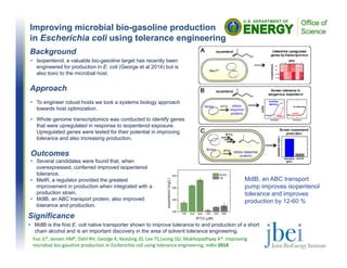Improving microbial bio-gasoline production
in Escherichia coli using tolerance engineering
1Linshiz, et al., “PaR-PaR: Laboratory Automation System.” ACS Synth. Biol. 2:216-222 (2013).
2Linshiz, et al., “PR-PR: Cross-Platform Laboratory System.” ACS Synth. Biol. Article ASAP (2014).
Background
• Isopentenol, a valuable bio-gasoline target has recently been
engineered for production in E. coli (George et al 2014) but is
also toxic to the microbial host.
Approach
• To engineer robust hosts we took a systems biology approach
towards host optimization.
• Whole genome transcriptomics was conducted to identify genes
that were upregulated in response to isopentenol exposure.
Upregulated genes were tested for their potential in improving
tolerance and also increasing production.
Significance
• MdlB is the first E. coli native transporter shown to improve tolerance to and production of a short
chain alcohol and is an important discovery in the area of solvent tolerance engineering.
Foo JL#, Jensen HM#, Dahl RH, George K, Keasling JD, Lee TS,Leong SSJ, Mukhopadhyay A*. Improving 
microbial bio‐gasoline production in Escherichia coli using tolerance engineering. mBio 2014
Outcomes
• Several candidates were found that, when
overexpressed, conferred improved isopentenol
tolerance.
• MetR, a regulator provided the greatest
improvement in production when integrated with a
production strain.
• MdlB, an ABC transport protein, also improved
tolerance and production.
MdlB, an ABC transport
pump improves isopentenol
tolerance and improves
production by 12-60 %
 