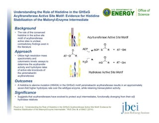 Understanding the Role of Histidine in the GHSxG
Acyltransferase Active Site Motif: Evidence for Histidine
Stabilization of the Malonyl-Enzyme Intermediate
Outcomes
• A histidine to alanine mutation (H640A) in the GHSxG motif yersiniabactin acyltransferase results in an approximately
seven-fold higher hydrolysis rate over the wildtype enzyme, while retaining transacylation activity.
Poust et al., “Understanding the Role of Histidine in the GHSxG Acyltransferase Active Site Motif: Evidence for
Histidine Stabilization of the Malonyl-Enzyme Intermediate.” PloS One. 9: e109421 (2014).
Background
• The role of the conserved
histidine in the active site
motif of acyltransferase
active sites is unclear,
contradictory findings exist in
the literature
Approach
• Utilize high resolution mass
spectrometry and
colorimetric kinetic assays to
determine the acyltransfer
activity and hydrolysis rates
of active site knockouts of
the yersiniabactin
acyltransferase
Significance
• Suggests that acyltransferases have evolved to protect acyl intermediates, functionally diverging from their α/β
hydrolase relatives
 