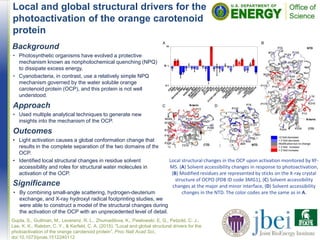 Local and global structural drivers for the
photoactivation of the orange carotenoid
protein
Background
• Photosynthetic organisms have evolved a protective
mechanism known as nonphotochemical quenching (NPQ)
to dissipate excess energy,
• Cyanobacteria, in contrast, use a relatively simple NPQ
mechanism governed by the water soluble orange
carotenoid protein (OCP), and this protein is not well
understood.
Approach
• Used multiple analytical techniques to generate new
insights into the mechanism of the OCP.
Outcomes
• Light activation causes a global conformation change that
results in the complete separation of the two domains of the
OCP.
• Identified local structural changes in residue solvent
accessibility and roles for structural water molecules in
activation of the OCP.
Gupta, S., Guttman, M., Leverenz, R. L., Zhumadilova, K., Pawlowski, E. G., Petzold, C. J.,
Lee, K. K., Ralston, C. Y., & Kerfeld, C. A. (2015). "Local and global structural drivers for the
photoactivation of the orange carotenoid protein”, Proc Natl Acad Sci,,
doi:10.1073/pnas.1512240112
Significance
• By combining small-angle scattering, hydrogen-deuterium
exchange, and X-ray hydroxyl radical footprinting studies, we
were able to construct a model of the structural changes during
the activation of the OCP with an unprecedented level of detail.
Local structural changes in the OCP upon activation monitored by XF-
MS. (A) Solvent accessibility changes in response to photoactivation,
(B) Modified residues are represented by sticks on the X-ray crystal
structure of OCPO (PDB ID code 3MG1), (C) Solvent accessibility
changes at the major and minor interface, (D) Solvent accessibility
changes in the NTD. The color codes are the same as in A.
 