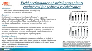 Office of Biological and Environmental Research
Field performance of switchgrass plants
engineered for reduced recalcitrance
Background
• Switchgrass is an important potential bioenergy crop
• Biomass is recalcitrant to deconstruction
Approach
Switchgrass was engineered to reduce recalcitrance by expressing
dehydroshikimate reductase (QsuB) to reduce lignin or AT10 acyltransferase to
reduce cell wall crosslinking. These plants had been described before in
greenhouse studies and were now tested in multi-year field trials.
Results
Reduced recalcitrance was observed in engineered plants, but the effect was
smaller than in greenhouse studies. The plants expressing QsuB showed an
increased yield of about 16% over the three years. A similar increase was
previously observed in sorghum plants expressing QsuB,.
Significance/Impacts
The study shows the importance of testing engineered plants in the field as
results from greenhouse studies often do not translate to the field. The increase
in biomass yield is important and together with reduced recalcitrance would
lead to a lower biofuel production cost.
Eudes A., et al. Front Plant Sci. DOI: 10.3389/fpls.2023.1181035
Figure 1: Biomass yield in the first two years of trial. Three QsuB and
two AT10 (FT) lines were tested. The error bars indicate standard
deviations for the total yearly yield. Total biomass yield in each year with
the same letter are not significantly different (Fisher’s least significance
test, p > 0.05). The experimental plot design was a randomized complete
block design with four replicates for each transgenic line and controls.
 