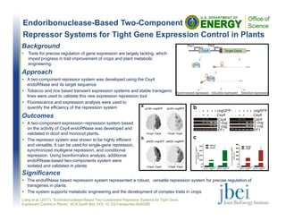 Endoribonuclease-Based Two-Component
Repressor Systems for Tight Gene Expression Control in Plants
Outcomes
• A two-component expression−repression system based
on the activity of Csy4 endoRNase was developed and
validated in dicot and monocot plants.
• The repressor system was shown to be highly efficient
and versatile. It can be used for single-gene repression,
synchronized multigene repression, and conditional
repression. Using bioinformatics analysis, additional
endoRNase-based two-components system were
isolated and validated in planta.
Liang et al. (2017). “Endoribonuclease-Based Two-Component Repressor Systems for Tight Gene
Expression Control in Plants.” ACS Synth Biol, DOI: 10.1021/acssynbio.6b00295
Background
• Tools for precise regulation of gene expression are largely lacking, which
imped progress in trait improvement of crops and plant metabolic
engineering.
Significance
• The endoRNase based repression system represented a robust, versatile repression system for precise regulation of
transgenes in plants.
• The system supports metabolic engineering and the development of complex traits in crops
Approach
• A two-component repressor system was developed using the Csy4
endoRNase and its target sequence
• Tobacco and rice based transient expression systems and stable transgenic
lines were used to validate this new expression repression tool
• Fluorescence and expression analysis were used to
quantify the efficiency of the repression system
 