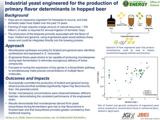 Depiction of how engineered yeast that produce
monoterpenes could be used to replace
conventional hopping methods and processes.
Industrial yeast engineered for the production of
primary flavor determinants in hopped beer
Outcomes and Impacts
• Successfully controlled the production of linalool and geraniol during
ethanol productionthat exhibited significantly higher hop flavor/aroma
than the parental control.
• Similar monoterpene concentrations were observed between different
batches, demonstrating the consistent performance of the engineered
strain.
• Results demonstrate that monoterpenes derived from yeast
biosynthesis during fermentation give rise to hop flavor/aroma in
finished beer and that biosynthesis provides greater consistency than
traditional hopping.
Denby et al. (2018) Nature Communications, doi: 10.1038/s41467-018-03293-x
Background
• Hops are an expensive ingredient for breweries to source, and total
domestic sales have tripled over the past 10 years.
• Farming of hops requires a large amount of natural resources: ~100
billion L of water is required for annual irrigation of domestic hops.
• The production of the terpenes primarily associated with the flavor of
hops, linalool and geraniol, using engineered yeast would address these
issues and could be integrated directly into the brewing process.
Approach
• Monoterpene synthases encoding for linalool and geraniol were identified,
synthesized and expressed in S. cerevisiae.
• Engineered these yeast strains to be capable of producing monoterpenes
during beer fermentation to eliminate exongenous delivery of these
compounds.
• Focused on tuning the expression of key genes in a biosynthetic pathway
to simultaneously make precise concentrations of multiple flavor
molecules.
Plot of linalool and geraniol production of engineered yeast
strains compared to concentrations found in commercial beers,
plotted in log10 space.
 