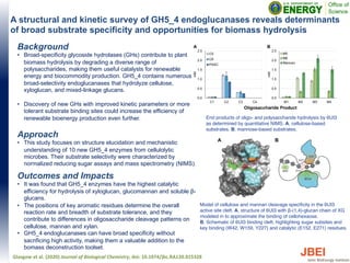 A structural and kinetic survey of GH5_4 endoglucanases reveals determinants
of broad substrate specificity and opportunities for biomass hydrolysis
Background
• Broad-specificity glycoside hydrolases (GHs) contribute to plant
biomass hydrolysis by degrading a diverse range of
polysaccharides, making them useful catalysts for renewable
energy and biocommodity production. GH5_4 contains numerous
broad-selectivity endoglucanases that hydrolyze cellulose,
xyloglucan, and mixed-linkage glucans.
• Discovery of new GHs with improved kinetic parameters or more
tolerant substrate binding sites could increase the efficiency of
renewable bioenergy production even further.
Approach
• This study focuses on structure elucidation and mechanistic
understanding of 10 new GH5_4 enzymes from cellulolytic
microbes. Their substrate selectivity were characterized by
normalized reducing sugar assays and mass spectrometry (NIMS).
Outcomes and Impacts
• It was found that GH5_4 enzymes have the highest catalytic
efficiency for hydrolysis of xyloglucan, glucomannan and soluble β-
glucans.
• The positions of key aromatic residues determine the overall
reaction rate and breadth of substrate tolerance, and they
contribute to differences in oligosaccharide cleavage patterns on
cellulose, mannan and xylan.
• GH5_4 endoglucanases can have broad specificity without
sacrificing high activity, making them a valuable addition to the
bomass deconstruction toolset.
Glasgow et al. (2020) Journal of Biological Chemistry, doi: 10.1074/jbc.RA120.015328
End products of oligo- and polysaccharide hydrolysis by 6UI3
as determined by quantitative NIMS. A, cellulose-based
substrates. B, mannose-based substrates.
Model of cellulose and mannan cleavage specificity in the 6UI3
active site cleft. A, structure of 6UI3 with β-(1,4)-glucan chain of XG
modeled in to approximate the binding of cellohexaose.
B, Schematic of 6UI3 binding cleft, highlighting sugar subsites and
key binding (W42, W159, Y227) and catalytic (E152, E271) residues.
 