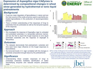 Expression of Aspergillus niger CAZymes is
determined by compositional changes in wheat
straw generated by hydrothermal or ionic liquid
pretreatments
Daly et al. (2017) “Expression of Aspergillus niger CAZymes is determined by compositional changes in wheat straw
generated by hydrothermal or ionic liquid pretreatments.” Biotechnology for Biofuels, DOI: 10.1186/s13068-017-0700-9
Background
• Fungi are major degraders of lignocellulose in nature and are
the main source of the costly enzymes used to saccharify pre-
treated lignocellulose in the production of second-generation
biofuels.
• There is limited understanding of the responses of fungi to
substrates that are pretreated as well as the temporal aspects
of the response.
Approach
• We investigate the response of Aspergillus niger to untreated
and pretreated substrates in a temporally extensive manner,
and are the first to report the fungal response to ionic liquid
pretreated substrates and the response of Aspergilli to
Miscanthus.
Outcomes
• The datasets demonstrate that pretreatment, substrate and
time each have major influence on the fungal responses to
lignocellulose.
• the transcript levels in A. niger correlated with the changes in
substrate composition brought about by the pretreatments
Significance
• Understanding these complex responses of fungi to
pretreated substrates facilitates identification of better
saccharifying enzymes and reduced enzyme production
costs.
a) The number of CAZy genes that encode plant-polysaccharide active CAZymes
and is significantly induced in cultures with untreated and pretreated straw
compared to the Glu 48 h b) The proportion of transcripts from CAZy genes that
encode plant-polysaccharide active CAZymes is expressed as FPKM value. c)
Subset of the MFuzz clusters from the clustering of all genes from the KMS
time-course with number of genes belonging to the indicated categories.
 