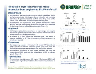 Production of jet fuel precursor mono-
terpenoids from engineered Escherichia coli
Mendez-Perez et al. (2017) “Production of jet fuel precursor monoterpenoids from
engineered Escherichia coli,” Biotechnology and Bioengineering, doi: 10.1002/bit.26296
Background
• Monoterpenes are isoprenoids commonly used in fragrances, flavors
and pharmaceuticals. Monoterpene-derive molecules are promising
alternatives to petroleum-derived jet fuels since they have similar
carbon chain length, heat of combustion and freezing point.
• Monoterpenes are synthesized from geranyl diphosphate (GPP),
which is also the precursor for farnesyl diphosphate (FPP), essential
for the biosynthesis of cell-wall polysaccharides (Figure 1).
Fig 1. Monoterpene  biosynthesis and competing pathway
Fig 2. Production of 1,8‐cineole and metabolomics 
analysis in the engineered strains
Approach
• Monoterpene production was achieved by expressing a nine-enzyme
mevalonate pathway organized in three operons expressed from a
single plasmid (1P) or two plasmids (2P).
• A mutation in E. coli’s native FPP synthase (IspA*) was tested to
improve availability of GPP for the production of monoterpenes (1,8-
cineole and linalool).
Outcomes
• Monoterpene production in the strain with limited FPP biosynthesis
(DH1*) results in selective pressure against production when the
monoterpene synthases are expressed from a high copy plasmid.
• Monoterpene production at high levels required not only the
optimization of GPP levels but also a basal level of FPP to maintain
growth (Figure 2).
Significance
• The optimized strains produced 653 mg/L of 1,8-cineole and 505 mg/L
of linalool, the highest reported titers for monoterpene production in
bacteria.
 