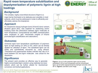 Rapid room temperature solubilization and
depolymerization of polymeric lignin at high
loadings
Outcomes
Achieved rapid room temperature solubilization of polymeric
lignin at high loading (31 wt%) in EG, which can be directly
applied for utilization of lignin. The solubilized lignin can be
easily and quantitatively recovered by using ethanol.
Theoretical and experimental studies indicate that role of H-
bond between EG and lignin molecules was critical for the
dissolution.
Sun et al. (2016) “Rapid room temperature solubilization and depolymerization of polymeric
lignin at high loadings” Green Chem., 2016, 18, 6012-6020 (Back cover paper) .
Background
The complex, highly cross-linked structure of lignin is a
major barrier that leads to its relatively poor solubility in most
solvents, which must be addressed in order to efficiently and
affordably valorize this biopolymer.
Significance
The present work provides an effective way to generate
highly concentrated lignin solution using relatively non-toxic
solvent, which can be further utilized for biochemical
conversion and biofuel applications.
Figure a: Up to 31 wt% polymeric lignin can be quickly
solubilized in EG at room temperature and the concentrated
lignin can be further depolymerized by hydrogen peroxide under
80 oC. Figure b: see Back cover image.
a
b
Approach
An inexpensive strong hydrogen bond (H-bond) donor solvent,
ethylene glycol (EG), was explored for weakening and/or
breaking down the interactions between lignin molecules at
room temperature. Computational and NMR characterization
were employed to gain mechanistic insights of H-bond
promoted lignin solubilization and valorization).
 