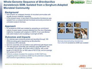 Whole-Genome Sequence of Brevibacillus
borstelensis SDM, Isolated from a Sorghum-Adapted
Microbial Community
Background
• Soil contains an untapped diversity of microbial communities with
equally diverse metabolic capacities
• In the present study, a new strain of Brevibacillus borstelensis was
isolated from a compost-derived microbial community enriched on
untreated sorghum biomass.
Approach
• B. borstelensis SDM was isolated by spreading an enrichment
culture of green waste compost obtained from the city of Berkeley,
California, incubated with sorghum in M9TE (7) on Luria Bertani
(LB) solid medium and incubating it overnight at 50ºC.
Outcomes and Impacts
• Six colonies were randomly picked and identified through 16S
rRNA-encoding gene sequencing as Brevibacillus
borstelensis (99% identical).
• Genome assembly and annotation was performed with Kbase tools
• The best genome assembly was obtained using MEGAHIT and
comprised 128 contigs, all of them with ≥1,000 bp, with a total
length of 5,246,051 bp, an N50 value of 82,015 bp, and an average
GC content of 51.62%
• CAZyme analysis revealed the existence of 266 CAZYmes,
suggesting that B. borstelensis SDM has the potential to degrade
and transform lignocellulosic biomass.
Aulitto et al. (2019) Microbiology Resource Announcements 9 (2020). DOI: 10.1128/MRA.01046-20
Passage 1
(Day 14)
Enrichment
Passage 3
(Day 42)
Passage 4
(Day 56)
Day 371
Passage 2 (Day 28)
Biomass deconstructing microbiomes
from which B. borstelensis SDM was isolated
 