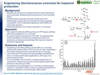 Engineering Saccharomyces cerevisiae for isoprenol
production
Background
• Recently, the isoprenol has gained interest as advanced biofuels
and a promising, strategic bio-derived precursor for jet fuel blend-
stocks.
• Saccharomyces cerevisiae has been widely used in the
biotechnology industry due to robustness and ease of genetic
manipulation, and it is generally regarded as safe (GRAS) for
large-scale operation.
• Isoprenol production has not been reported in S. cerevisiae.
Approach
• The original mevalonate (MVA) pathway and IPP-bypass pathway
(IBP) were engineered in S. cerevisiae.
• To improve isoprenol production via the IBP, we engineered the
strains by deleting a promiscuous endogenous kinase and
screened a promiscuous phosphatase that improves isoprenol
production significantly.
Outcomes and Impacts
• Engineering of the MVA pathway and the IBP in S. cerevisiae
achieved the isoprenol titers of 46 mg/L and 75 mg/L, respectively.
• The choline kinase knockout improved the titer to 130 mg/L.
• The screening of 15 promiscuous phosphatases identified PhoA
from E. coli improved the titer significantly to 383 mg/L in the
kinase knockout strain.
• To our knowledge, this is the first successful engineering in S.
cerevisiae for isoprenol production and the highest isoprenol titer
achieved in this host up to date.
• Considering many advantages of S. cerevisiae in biotechnology
industry, S. cerevisiae could be used as a promising workhorse for
isoprenol production in a commercially viable manner.
Kim et al. (2021) Metabolic engineering, https://doi.org/10.1016/j.ymben.2021.02.002
 