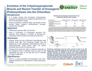 Evolution of the 3-Hydroxypropionate
Bicycle and Recent Transfer of Anoxygenic
Photosynthesis into the Chloroflexi
Outcomes
• Analysis shows that the phototrophic Chloroflexales clade
evolved much later than previously thought, with the
appearance of both anoxygenic photosynthesis and the 3-
hydroxypropionate (3HP) bicycle within the phylum
sometime near the end of Proterozoic time
• Findings demonstrate the utility of molecular estimates on
the divergence times of bacterial phyla to years—to test
hypotheses that bear on the age and role of important
microbial metabolisms
Summary of key divergence events from cross-
calibrated molecular clock analyses
Shih et al. (2017) "Evolution of the 3-hydroxypropionate bicycle and recent transfer of anoxygenic
photosynthesis into the Chloroflexi,” Proc Natl Acad Sci USA, DOI: 10.1073/pnas.1710798114
Background
• It is widely thought that anoxygenic photosynthesis
preceded the development of oxygenic photosynthesis and
the rise of atmospheric oxygen
• Several phototrophic bacterial clades are thought to have
evolved before oxygenic photosynthesis emerged,
including the Chloroflexi
Significance
• There is a strong possibility that phototrophy may have
originally evolved in an undiscovered or extinct stem group
lineage
Evolutionary relationships show that critical enzymes involved in the 3HP
bicycle were horizontally transferred from other taxa into the phototrophic
Chloroflexales order. (A) Phylogeny of the key 3HP enzyme, propionyl-CoA
synthase, illustrating the derived placement of the Chloroflexales (green
branches). The many basal taxa from non-Chloroflexi species indicate that the
Chloroflexales appear to have acquired this gene via HGT, as it is not found in
any other species within the Chloroflexi phylum. The acetyl-CoA synthetase
family was used as the outgroup. (B) Phylogeny of malyl-CoA lyase (MCL) also
shows a derived position and points to an HGT origin within the Chloroflexales
Approach
• Collaboration between LBNL and Cal Tech
• Used a combination of comparative genomics and
molecular clock analyses to compare to estimate key
divergences within the phylum and when they occurred
 