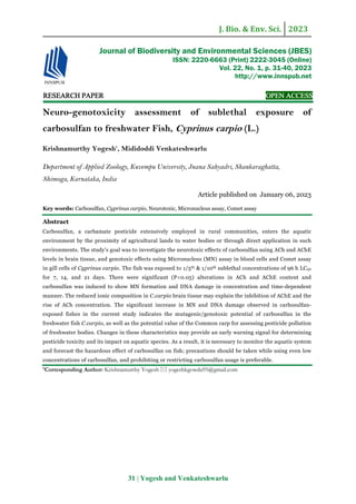 J. Bio. & Env. Sci. 2023
31 | Yogesh and Venkateshwarlu
RE
RE
RE
RESEARCH
SEARCH
SEARCH
SEARCH PAPER
PAPER
PAPER
PAPER OPEN ACCESS
OPEN ACCESS
OPEN ACCESS
OPEN ACCESS
Neuro-genotoxicity assessment of sublethal exposure of
carbosulfan to freshwater Fish, Cyprinus carpio (L.)
Krishnamurthy Yogesh*
, Mididoddi Venkateshwarlu
Department of Applied Zoology, Kuvempu University, Jnana Sahyadri, Shankaraghatta,
Shimoga, Karnataka, India
Article published on January 06, 2023
Key words: Carbosulfan, Cyprinus carpio, Neurotoxic, Micronucleus assay, Comet assay
Abstract
Carbosulfan, a carbamate pesticide extensively employed in rural communities, enters the aquatic
environment by the proximity of agricultural lands to water bodies or through direct application in such
environments. The study's goal was to investigate the neurotoxic effects of carbosulfan using ACh and AChE
levels in brain tissue, and genotoxic effects using Micronucleus (MN) assay in blood cells and Comet assay
in gill cells of Cyprinus carpio. The fish was exposed to 1/5th & 1/10th sublethal concentrations of 96 h LC50
for 7, 14, and 21 days. There were significant (P<0.05) alterations in ACh and AChE content and
carbosulfan was induced to show MN formation and DNA damage in concentration and time-dependent
manner. The reduced ionic composition in C.carpio brain tissue may explain the inhibition of AChE and the
rise of ACh concentration. The significant increase in MN and DNA damage observed in carbosulfan-
exposed fishes in the current study indicates the mutagenic/genotoxic potential of carbosulfan in the
freshwater fish C.carpio, as well as the potential value of the Common carp for assessing pesticide pollution
of freshwater bodies. Changes in these characteristics may provide an early warning signal for determining
pesticide toxicity and its impact on aquatic species. As a result, it is necessary to monitor the aquatic system
and forecast the hazardous effect of carbosulfan on fish; precautions should be taken while using even low
concentrations of carbosulfan, and prohibiting or restricting carbosulfan usage is preferable.
*Corresponding Author: Krishnamurthy Yogesh  yogeshkgowda95@gmail.com
Journal of Biodiversity and Environmental Sciences (JBES)
ISSN: 2220-6663 (Print) 2222-3045 (Online)
Vol. 22, No. 1, p. 31-40, 2023
http://www.innspub.net
 