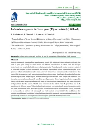 J. Bio. & Env. Sci. 2023
66 | Prabakaran et al.
RE
RE
RE
RESEARCH
SEARCH
SEARCH
SEARCH PAPER
PAPER
PAPER
PAPER OPEN ACCESS
OPEN ACCESS
OPEN ACCESS
OPEN ACCESS
Induced mutagenesis in Green gram (Vigna radiata (L.) Wilczek)
V. Prabakaran1
, P. Manivel2
, S. Parvathi3
,S. Palanivel*3
1,2
Research Scholar, PG and Research Department of Botany, Government Arts College (Autonomous),
(Affiliated to Bharathidasan University, Trichy), Tiruchirappalli, Karur, Tamil Nadu, India
*3
PG and Research Department of Botany, Government Arts College (Autonomous), Tiruchirappalli,
Karur, Tamil Nadu, India
Article published on January 12, 2023
Key words: Sodium azide, Amino acid profiling, M1 and M2 generations, Chlorophyll and viable mutants
Abstract
Induced mutagenesis was carried out in an important protein rich pulse crop (Vigna radiata (L.) Wilczek). The
seeds of green gram variety Co-6 were treated with different concentrations of sodium azide. The mutagen
treated seeds were sown in the field to observe M1 characteristics. The sodium azide treated seeds were subjected
to amino acid analysis. Totally 19 amino acids were recorded in control and sodium azide treated samples. In the
process of sodium azide treatments a few amino acids were increased and some amino acids were decreased than
control. The M1 parameters such as germination and survival percentage, plant height, days taken for flowering,
number of pods/plant, length of pods, number of seeds/pod and hundred seeds weight were decreased with
increasing concentrations sodium azide and all the growth parameters showed negative trend when compared to
control. The M1 seeds were collected separately based on concentrations of sodium azide and stored for raising
next generation after the harvest. The M1 seeds were sown in the field to raise M2 generation, and in M2
population, the different types of chlorophyll and viable mutants were noticed, such as chlorina, xantha, viridis,
and viable mutants such as tall, dwarf, leaf, pod and early flowering mutants were noticed in various treatments
of sodium azide. In addition with chlorophyll and viable mutants several initial leaflet modifications like
trifoliate, tetrafoliate and pentafoliate leaflets had been observed in mutagenic treatment with sodium azide. The
present study is a basis for evolving mutant varieties in green gram with altered agronomic traits.
*Corresponding Author: S. Palanivel  ssspvrm@gmail.com
Journal of Biodiversity and Environmental Sciences (JBES)
ISSN: 2220-6663 (Print) 2222-3045 (Online)
Vol. 22, No. 1, p. 66-73, 2023
http://www.innspub.net
 