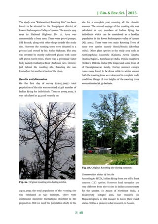 Population and conservation status of Kabaitari roosting site of Indian ...
