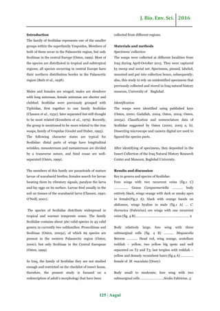 Taxonomic study of the family Scoliidae (Hymenoptera; Aculeata) in Iraq ...