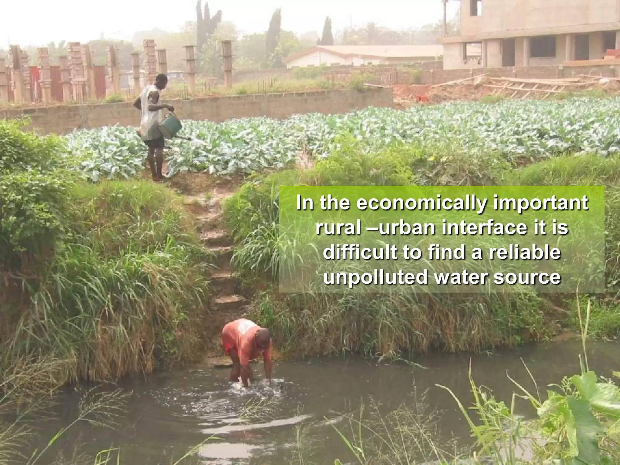 In the economically important
rural –urban interface it is
difficult to find a reliable
unpolluted water source

 