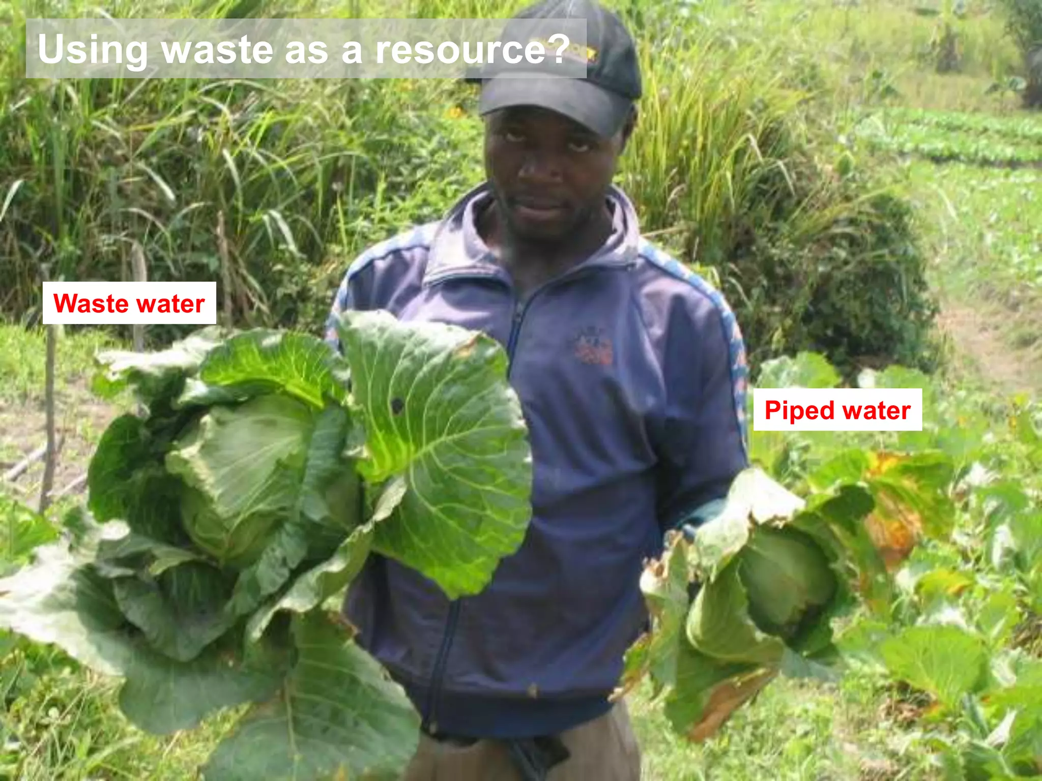 Using waste as a resource?

Waste water

Piped water

 