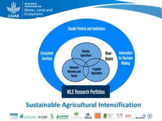 Sustainable Agricultural Intensification

 
