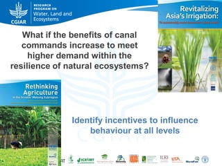 What if the benefits of canal
commands increase to meet
higher demand within the
resilience of natural ecosystems?

Identify incentives to influence
behaviour at all levels

 