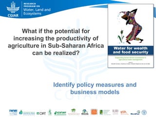 What if the potential for
increasing the productivity of
agriculture in Sub-Saharan Africa
can be realized?

Identify policy measures and
business models

 