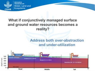 What if conjunctively managed surface
and ground water resources becomes a
reality?
Address both over-abstraction
and under-utilization

 