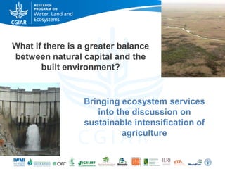 What if there is a greater balance
between natural capital and the
built environment?

Bringing ecosystem services
into the discussion on
sustainable intensification of
agriculture

 