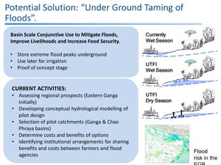 Potential Solution: “Under Ground Taming of
Floods”.
Basin Scale Conjunctive Use to Mitigate Floods,
Improve Livelihoods and Increase Food Security.

Currently
Wet Season

• Store extreme flood peaks underground
• Use later for irrigation
• Proof of concept stage

UTFI
Wet Season

CURRENT ACTIVITIES:
• Assessing regional prospects (Eastern Ganga
initially)
• Developing conceptual hydrological modelling of
pilot design
• Selection of pilot catchments (Ganga & Chao
Phraya basins)
• Determine costs and benefits of options
• Identifying institutional arrangements for sharing
benefits and costs between farmers and flood
agencies

UTFI
Dry Season

Flood
risk in the

 