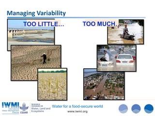 Managing Variability
TOO LITTLE…

TOO MUCH…

Water for a food-secure world
www.iwmi.org

 