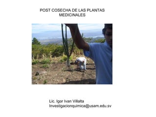 POST COSECHA DE LAS PLANTAS
MEDICINALES
Lic. Igor Ivan Villalta
Investigacionquimica@usam.edu.sv
 