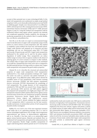 Synthesis and Characterization of Copper Oxide Nanoparticles and its ...