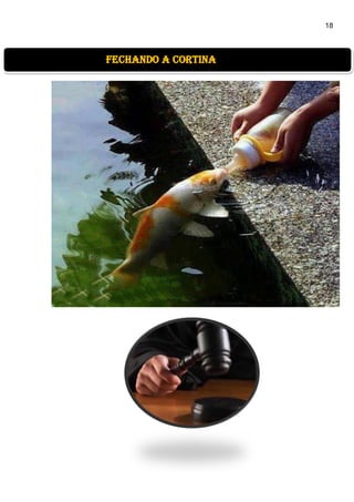 18
fechando a cortina
 