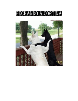 Jb news   informativo nr. 0331