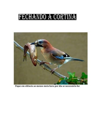 Fique em silêncio ao menos meia hora por dia se necessário for
 