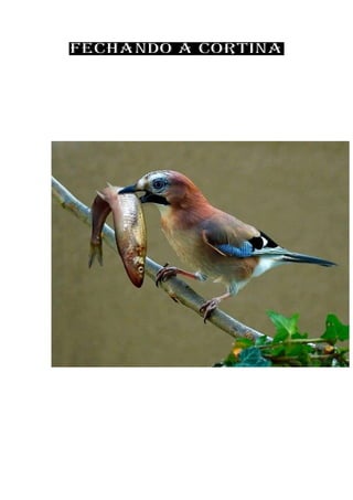 Jb news   informativo nr. 0402