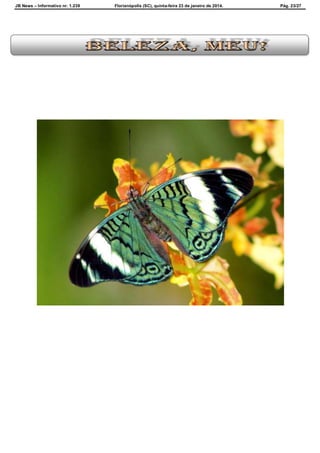 JB News – Informativo nr. 1.239 Florianópolis (SC), quinta-feira 23 de janeiro de 2014. Pág. 23/27
 
