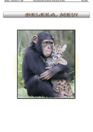 JB News – Informativo nr. 1.246 Florianópolis (SC) quarta-feira, 29 de janeiro de 2014. Pág. 26/29
 