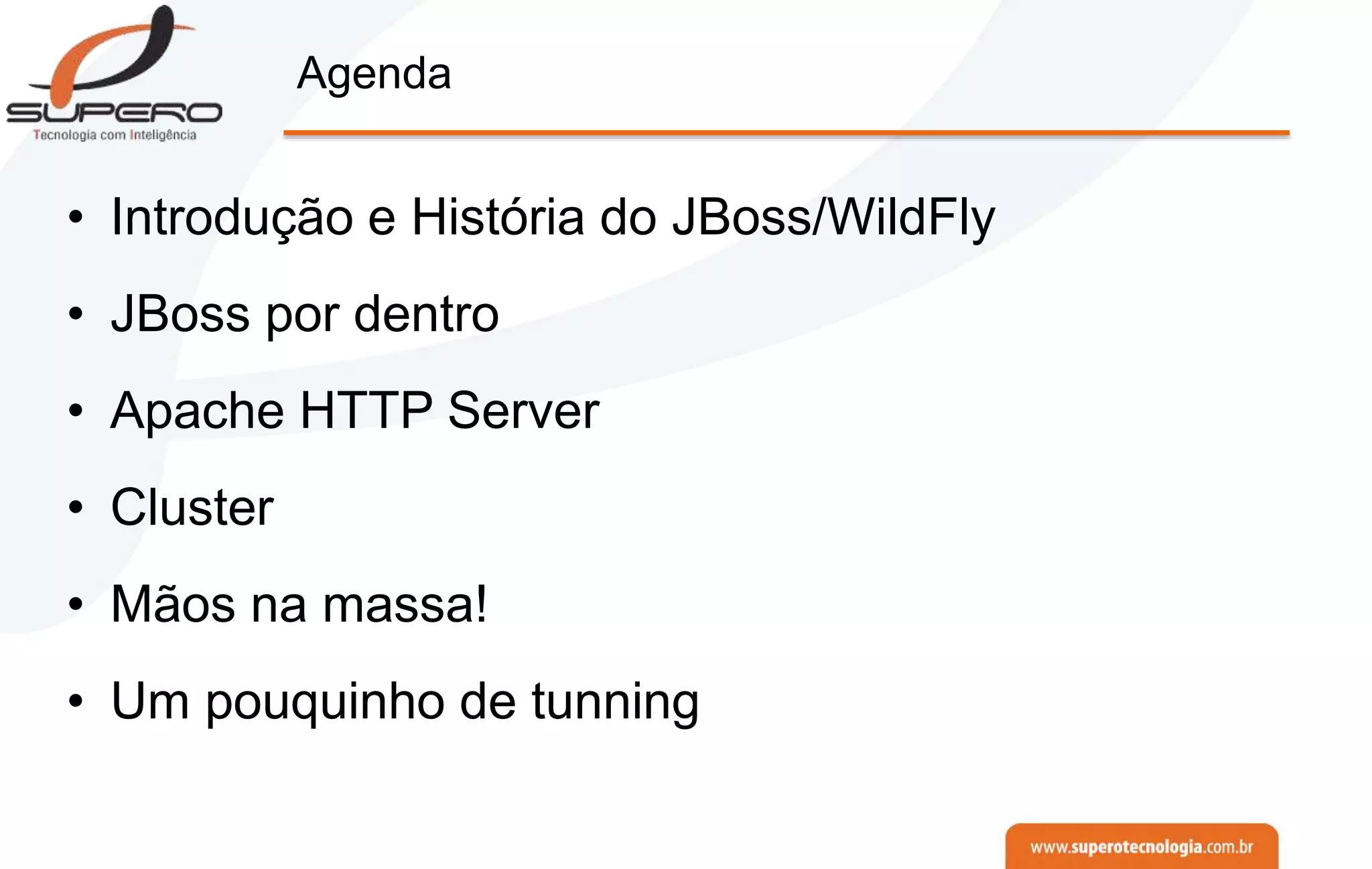 Agenda
• Introdução e História do JBoss/WildFly
• JBoss por dentro
• Apache HTTP Server
• Cluster
• Mãos na massa!
• Um pouquinho de tunning
 