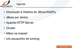 Agenda
• Introdução e História do JBoss/WildFly
• JBoss por dentro
• Apache HTTP Server
• Cluster
• Mãos na massa!
• Um pouquinho de tunning
 