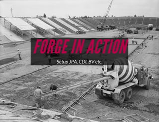 FORGE IN ACTION
Setup JPA, CDI, BV etc.

 
