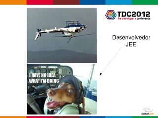 Desenvolvedor
    JEE




 Globalcode – Open4education
 