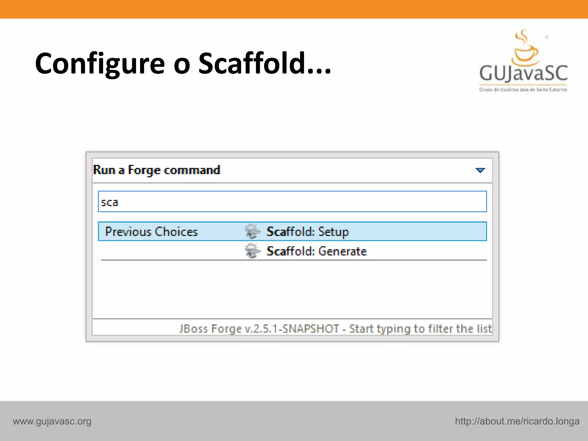 http://about.me/ricardo.longawww.gujavasc.org
Configure o Scaffold...
 